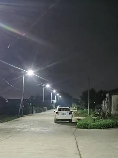 重慶忠縣的林總為村民安裝新農村太陽能路燈